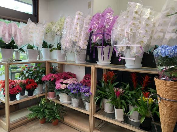 埼玉県吉川市の花屋 フロリスト ひとみにフラワーギフトはお任せください 当店は 安心と信頼の花キューピット加盟店です 花キューピットタウン